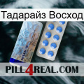 Тадарайз Восход 39